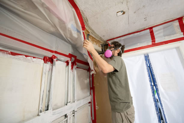 Mold Odor Removal Services in Adel, IA